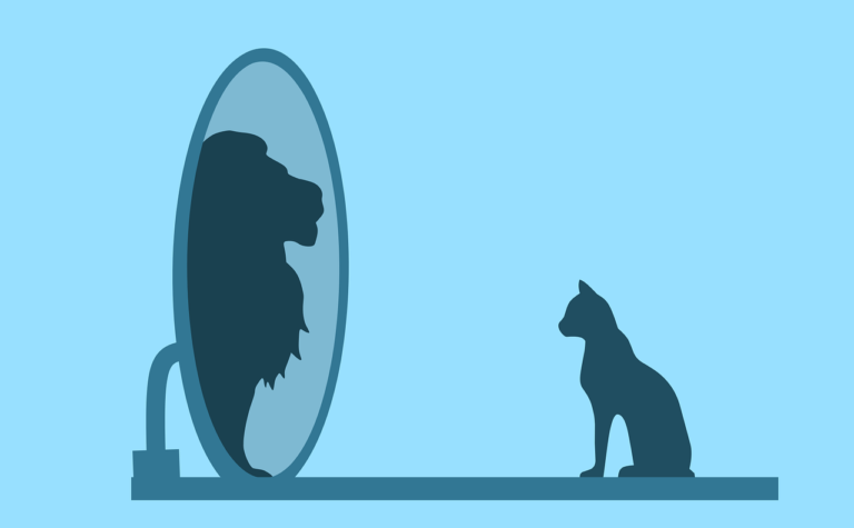 cat, mirror, lion-5690627.jpg